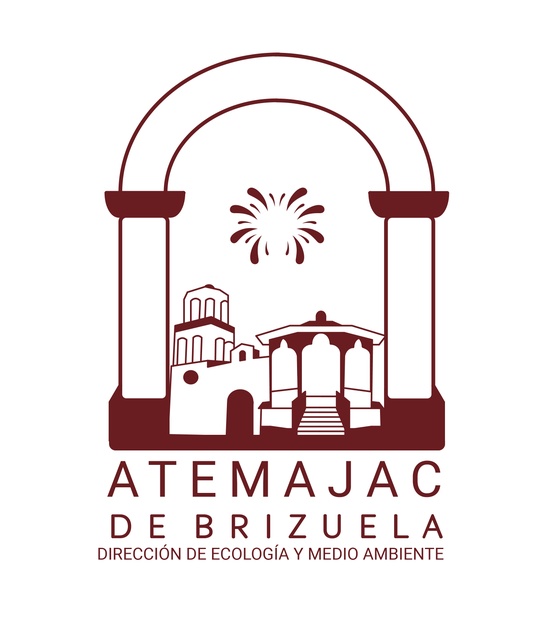ECOLOGIA, MEDIO AMBIENTE PARQUES Y JARDINES